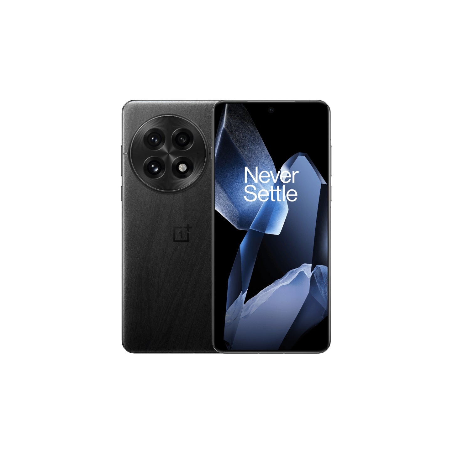 OnePlus 13 5G 12GB/256GB Negro Smartphone